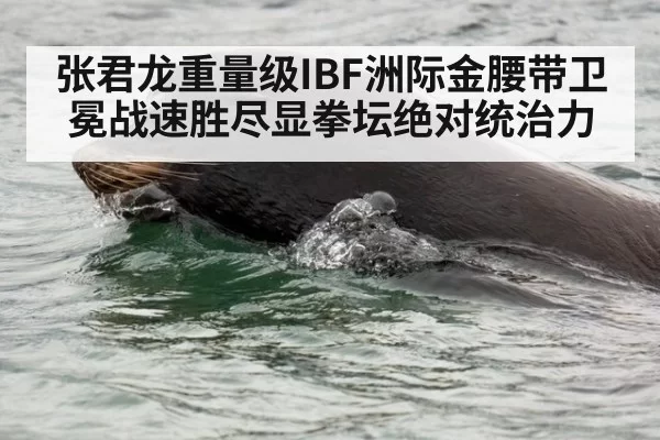 张君龙重量级IBF洲际金腰带卫冕战速胜尽显拳坛绝对统治力